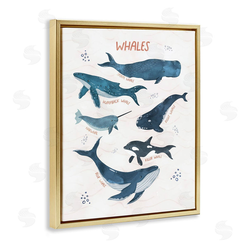 Nina Blue | Whales of the World