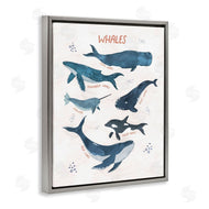 Nina Blue | Whales of the World