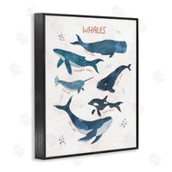 Nina Blue | Whales of the World