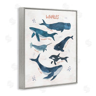 Nina Blue | Whales of the World