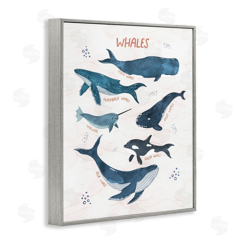 Nina Blue | Whales of the World