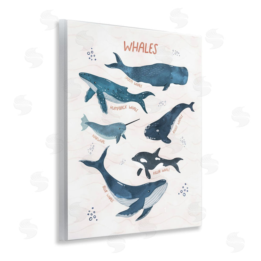 Nina Blue | Whales of the World