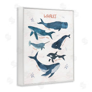 Nina Blue | Whales of the World