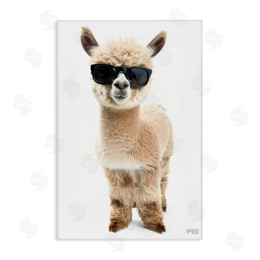 Roozbeh Bahramali | Cool Alpaca and Glasses