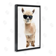Roozbeh Bahramali | Cool Alpaca and Glasses