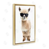 Roozbeh Bahramali | Cool Alpaca and Glasses