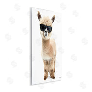 Roozbeh Bahramali | Cool Alpaca and Glasses