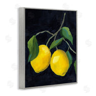 Pamela Munger | Two Lemons on Black