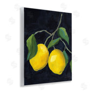 Pamela Munger | Two Lemons on Black