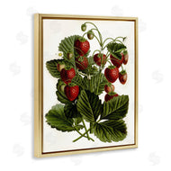 Lettered and Lined | Strawberry Plant Study