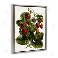 Lettered and Lined | Strawberry Plant Study