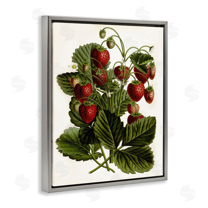Lettered and Lined | Strawberry Plant Study