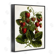 Lettered and Lined | Strawberry Plant Study