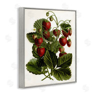 Lettered and Lined | Strawberry Plant Study