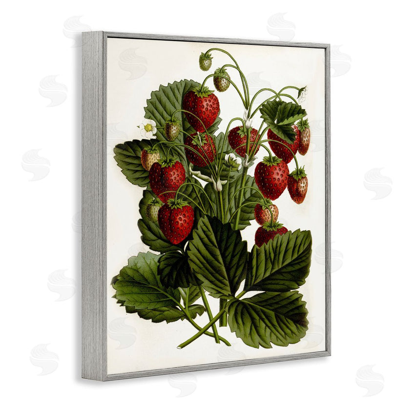 Lettered and Lined | Strawberry Plant Study