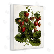 Lettered and Lined | Strawberry Plant Study