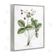 Lettered and Lined | Budding Strawberries Study