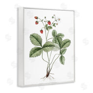 Lettered and Lined | Budding Strawberries Study