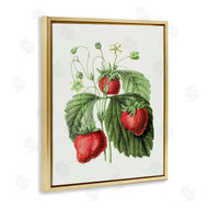 Lettered and Lined | Vintage Strawberries Study