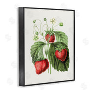 Lettered and Lined | Vintage Strawberries Study
