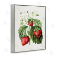 Lettered and Lined | Vintage Strawberries Study