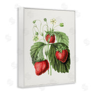 Lettered and Lined | Vintage Strawberries Study