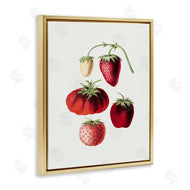 Lettered and Lined | Natural Berries Study