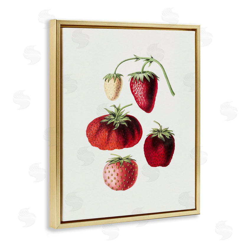 Lettered and Lined | Natural Berries Study