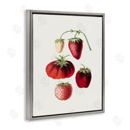 Lettered and Lined | Natural Berries Study