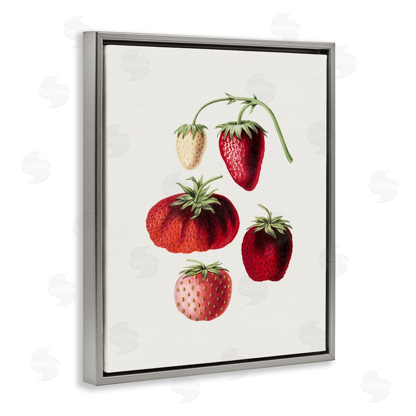 Lettered and Lined | Natural Berries Study