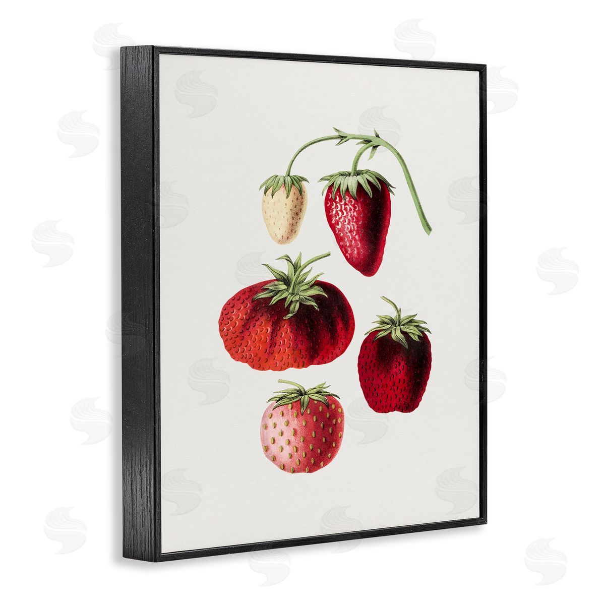 Natural Berries Study Black Frame Print Wall Art, Home Decor by Lettered and Lined