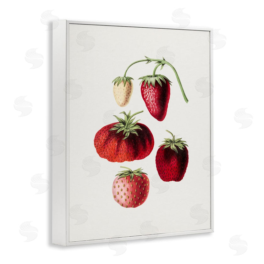 Lettered and Lined | Natural Berries Study
