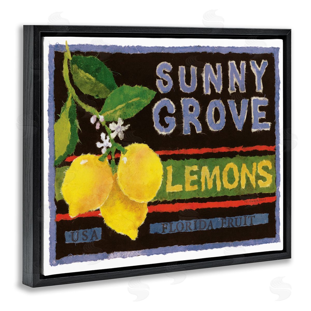 Sunny Grove Lemons Black Floating Frame Canvas Wall Art, Home Decor by Nancy Overton