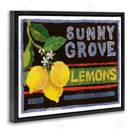Nancy Overton | Sunny Grove Lemons