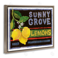 Nancy Overton | Sunny Grove Lemons