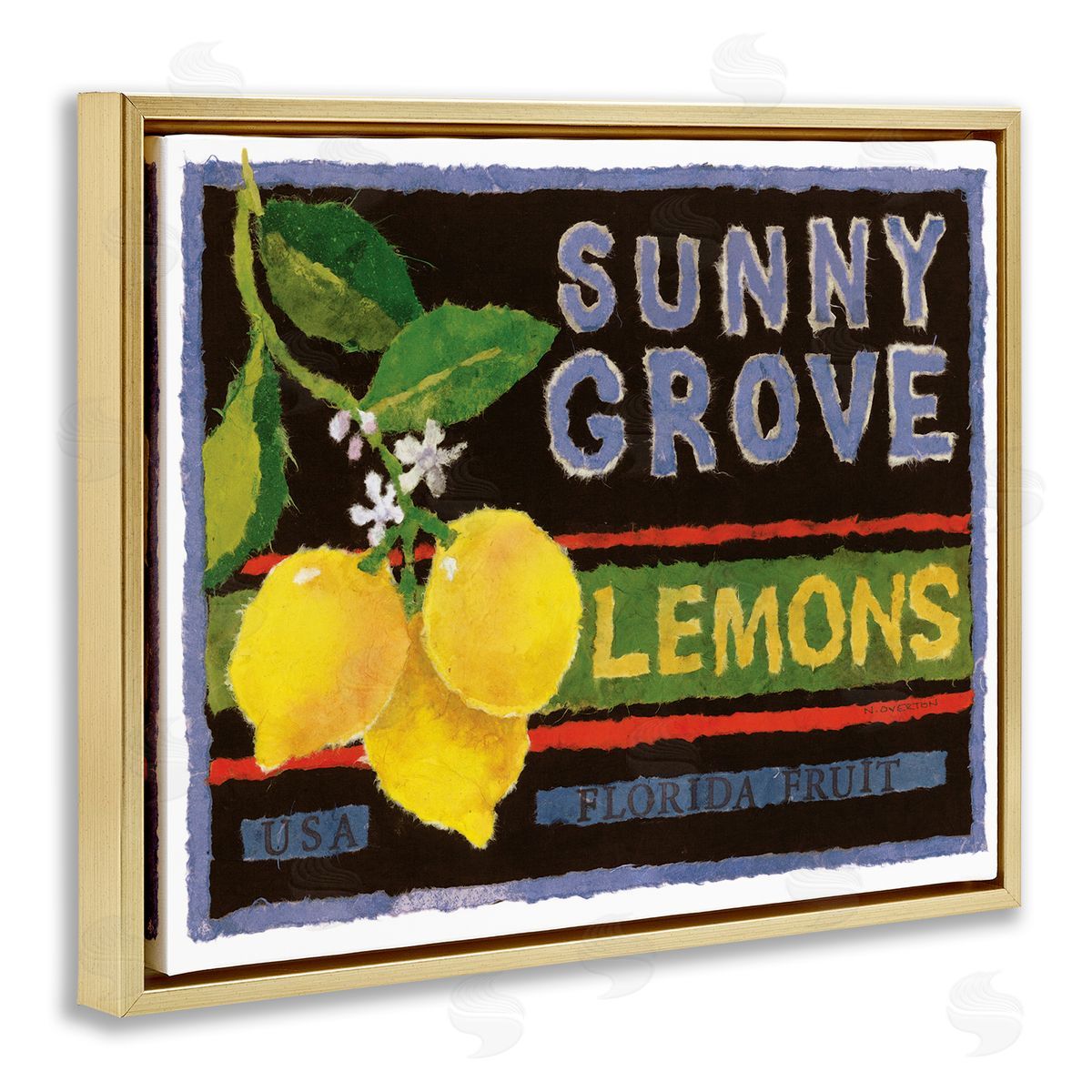 Sunny Grove Lemons Gold Floating Frame Canvas Wall Art, Home Decor by Nancy Overton