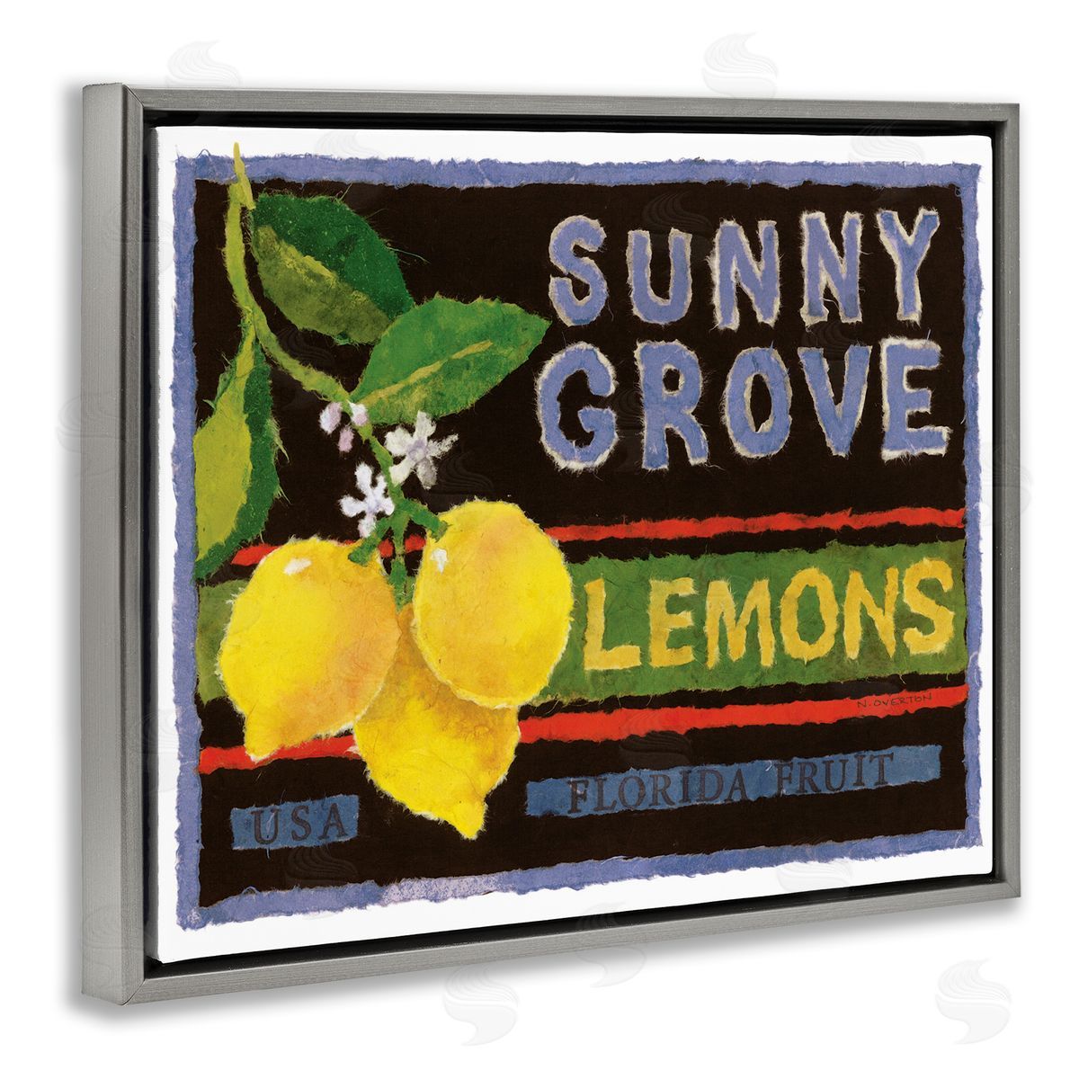 Sunny Grove Lemons Grey Floating Frame Canvas Wall Art, Home Decor by Nancy Overton
