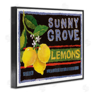 Nancy Overton | Sunny Grove Lemons