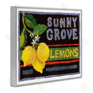 Nancy Overton | Sunny Grove Lemons