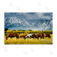 Dennis Frates | Horses in Wilderness