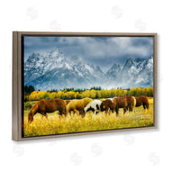 Dennis Frates | Horses in Wilderness