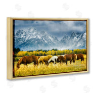 Dennis Frates | Horses in Wilderness