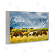 Dennis Frates | Horses in Wilderness