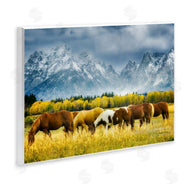 Dennis Frates | Horses in Wilderness