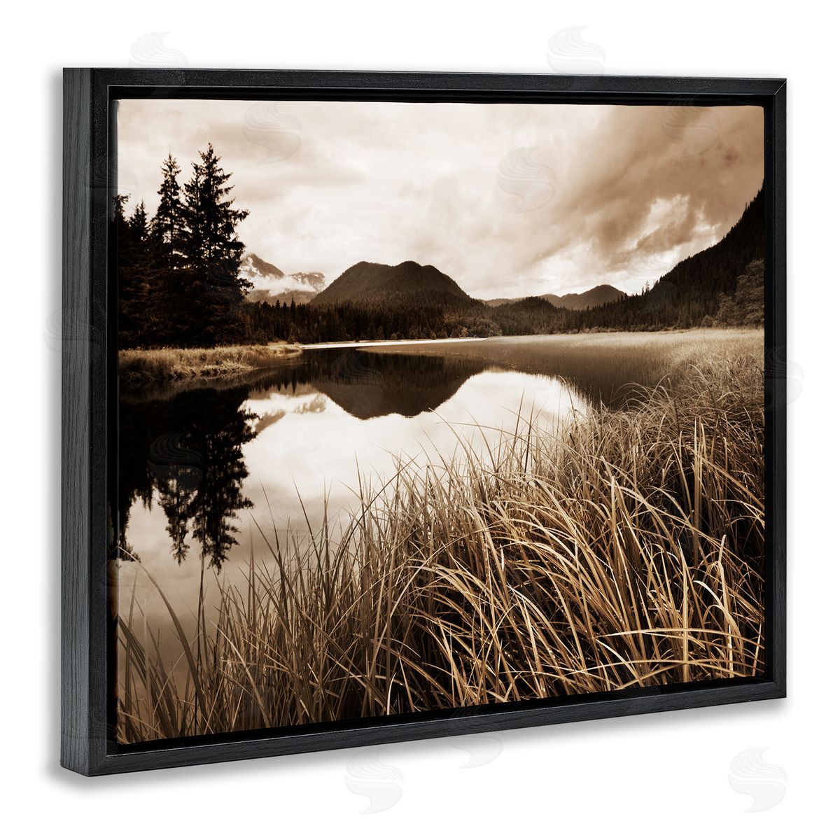 Sepia Lake Reflection Black Floating Frame Canvas Wall Art, Home Decor by Danita Delimont