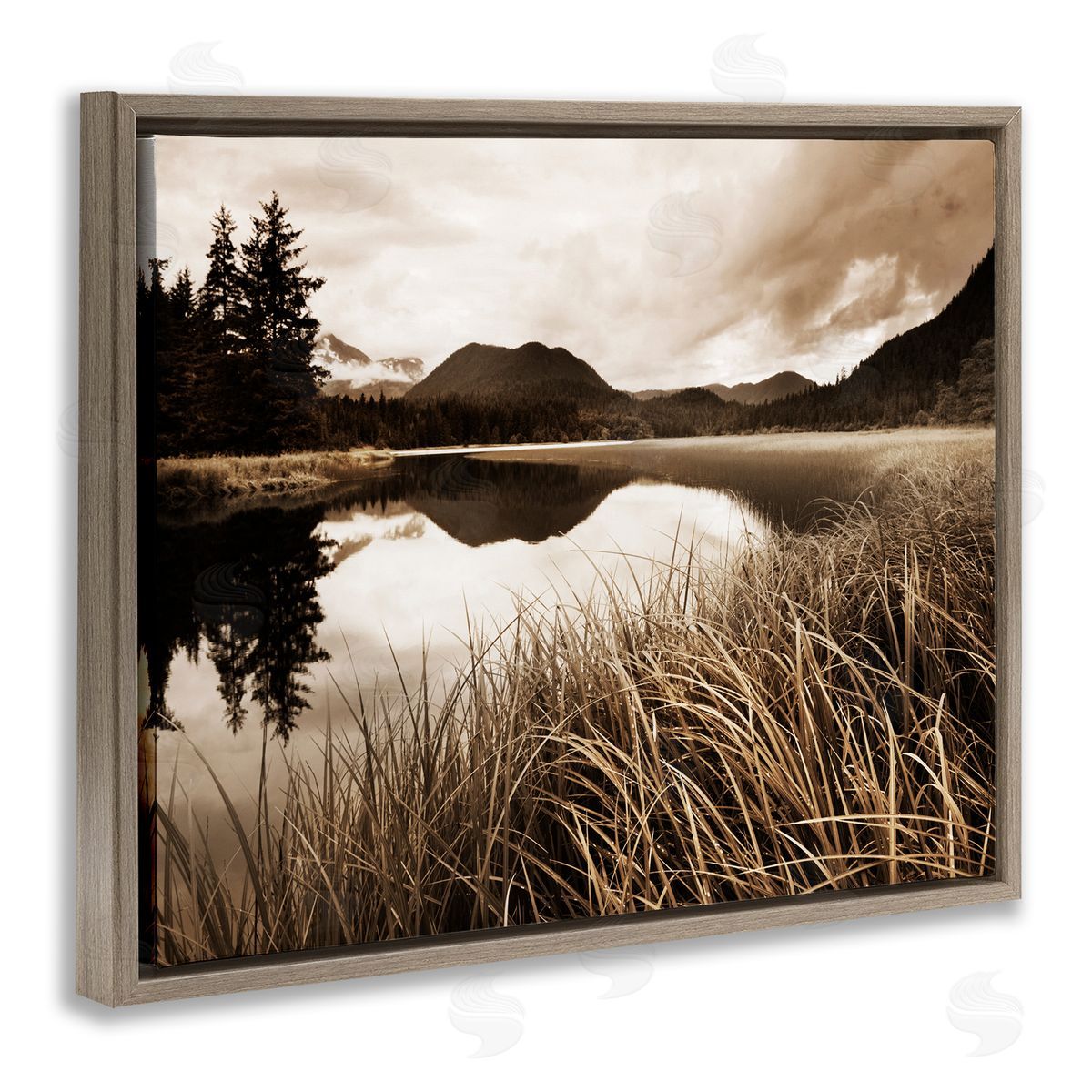 Sepia Lake Reflection Brown Floating Frame Canvas Wall Art, Home Decor by Danita Delimont