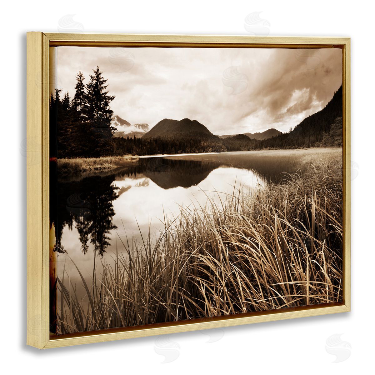 Sepia Lake Reflection Gold Floating Frame Canvas Wall Art, Home Decor by Danita Delimont