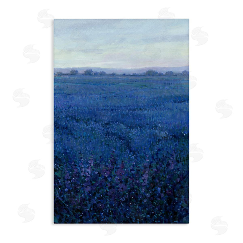 Tim OToole | Vast Blue Fields View