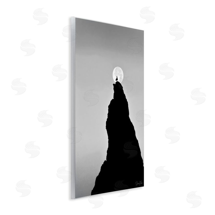 Dennis Frates | Bird Silhouette on Peak