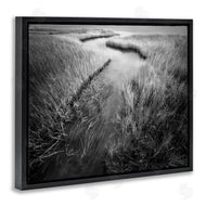 Chip Forelli | Meandering Estuary View